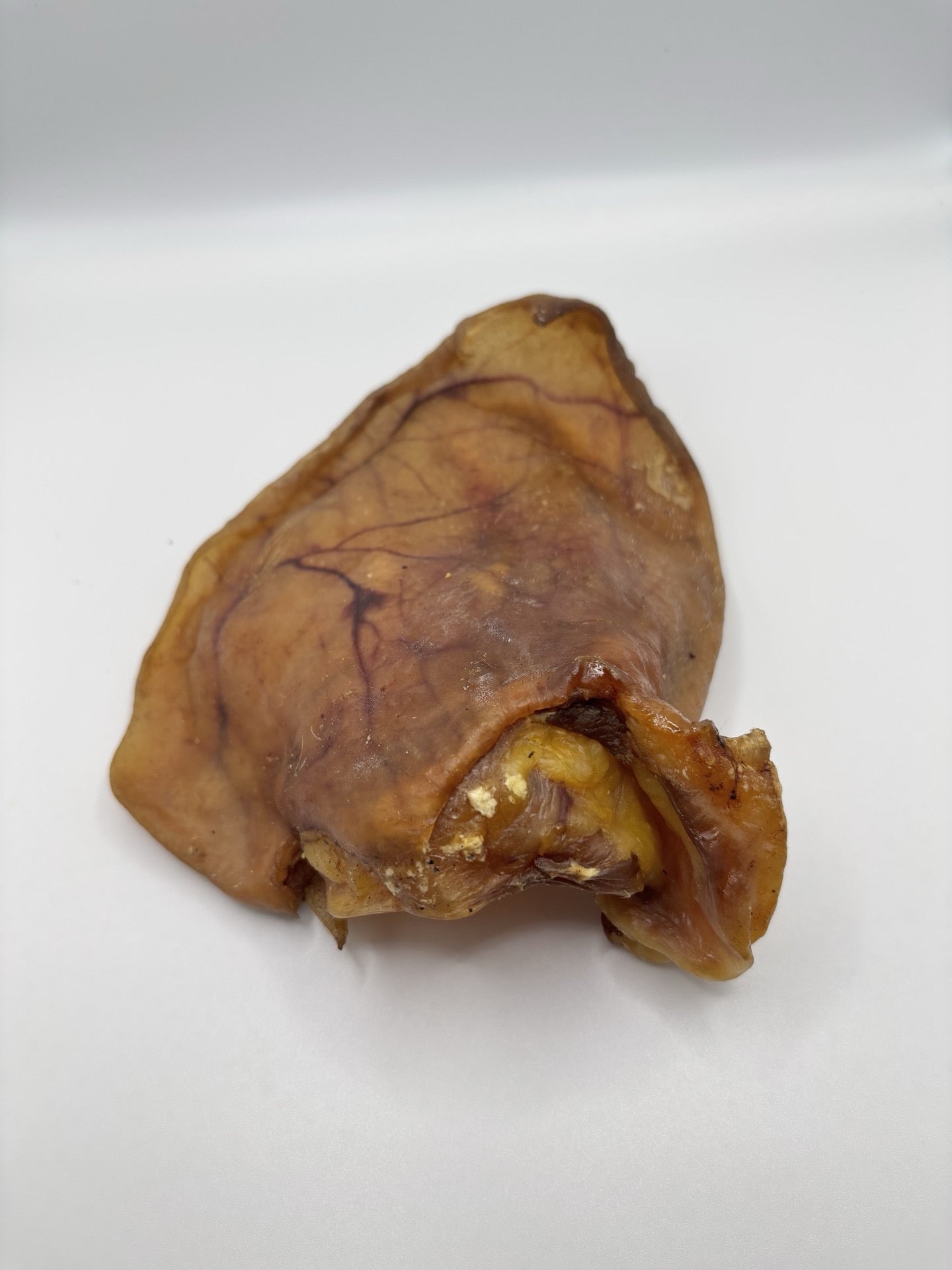 Large Pigs Ear